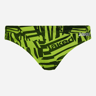 Zebra brief