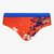 Party brief